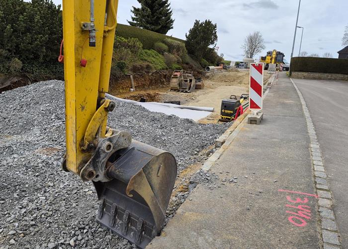 (c) S.i. Binsfeld-Holler-Breidfeld