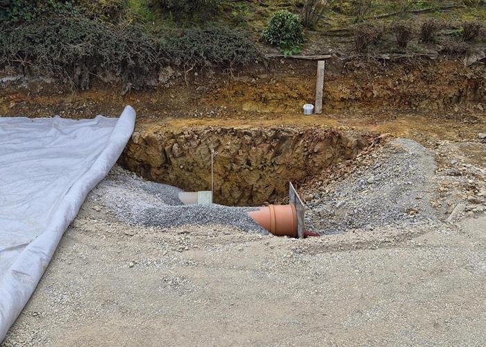 (c) S.i. Binsfeld-Holler-Breidfeld