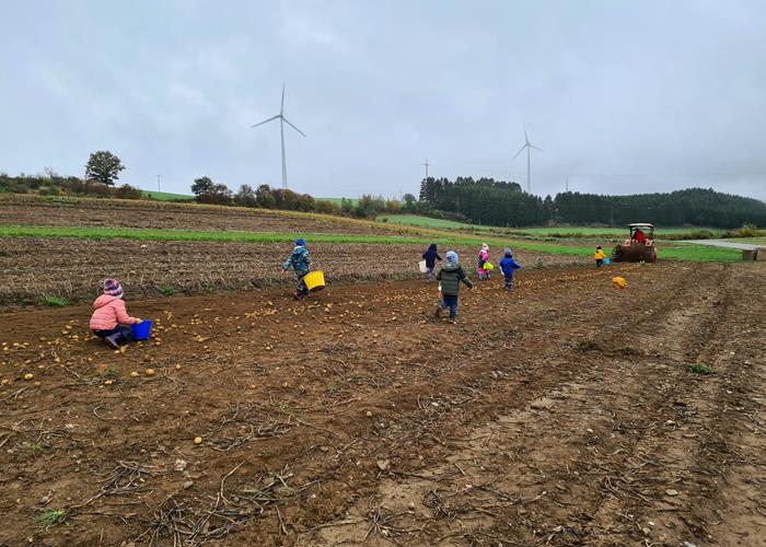 (c) S.i. Binsfeld-Holler-Breidfeld