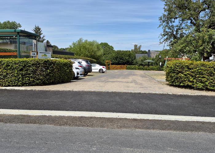 (c) S.i. Binsfeld-Holler-Breidfeld