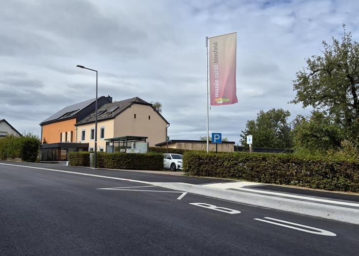 (c) S.i. Binsfeld-Holler-Breidfeld
